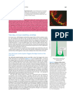 Control Del Ciclo Celular