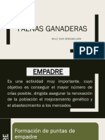 Faenas Ganderas - Empadre - 05