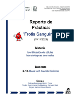 Reporte de Práctica-Frotis-Sanguíneo-Equipo-6