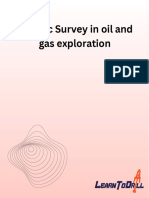 Seismic Survey