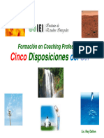 IEI Cinco Disposiciones Del Ser