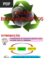 Ciclos Biogeoquimicos