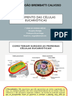 Aula 1 Série Como Surgiram As Células Eucariontes