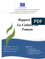 Rapport Tomate..