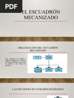 El Escuadrón Mecanizado