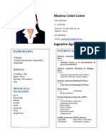 Curriculum Vitae