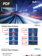 Erosolve Flashing - Customer Presentation - V1