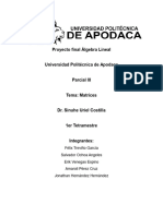 Proyecto Final Álgebra Lineal