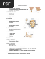 Epicondilitis y Epitrocleitis