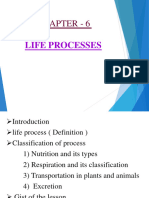 Life Processes