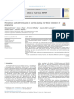 Jurnal Internasional Anemia