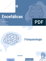 Lesiones Craneo Encefálicas