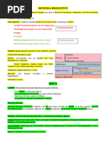 Sistema Digestivo