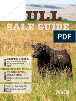 The Agweek Bull Sale Guide - January 2024