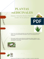 Plantas Medicinales