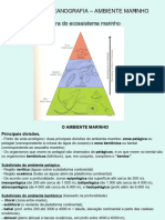 Sistema Pelagico Plancton (PT-LT)