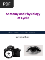 Anatomy and Physiology of Eyelid