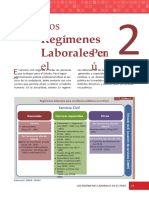 Regimenes Laborales Peruanos - Servir