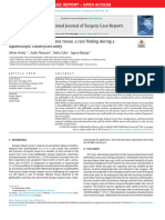 Case Report of Ectopic Hepatic Tissue, A Rare Finding During