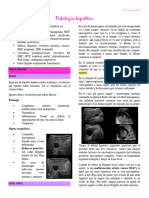 4.2 Patología Hepática