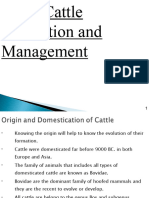 Dairy Cattle Production and Wmanagemt Latest