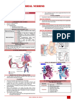 Medical Surgerical Nursing: Lecture / Nurs 13 Ppts / Book