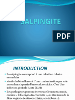 15.04.salpingite Externe