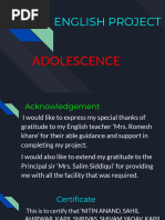 Adolescence English Project