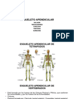 S. Esq Apend Ayfa I 2023