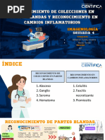 Sala de Ecografías - Semana 4