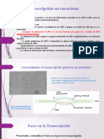 Biologia Molecular