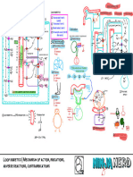 Cardiovascular Pharmacology) 10 Loop Diuretics - Key