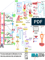 Cardiovascular Pharmacology) 11 Potassium Sparring Diuretics - Key