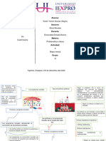 Mapa Mental de Politica y Programa Sociales