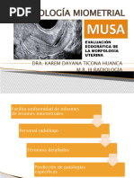 Criterios Musa Patologia Miometrial