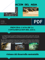 Contaminacion Del Agua