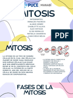 MITOSIS 