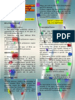 Lesson 3B - RNA Metabolizing Enzymes and Regulation of Transcription