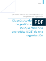 Tema 1 Diagnóstico de Gestión