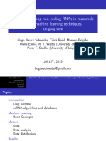 Detection of Long Non-Coding Rnas in Mammals Using Machine Learning Techniques