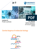 Lecture 21, Protein Synthesis