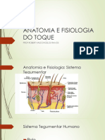 Anatomia e Fisiologia Do Toque Aula 1