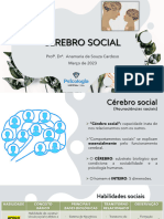 Cérebro Social 2023