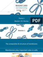 Theme1Module1and2ReviewLecture BIO1A03Fall2022