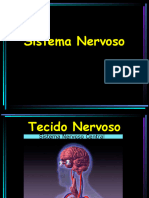 Histologia Do Sistema Nervoso Parte I