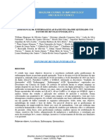 Assistência de Enfermagem Ao Paciente Grande Queimado: Um Estudo de Revisão Integrativa