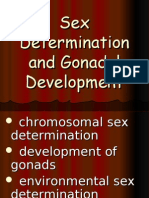 15 Sex Determination