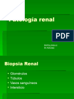 Patologia Renal