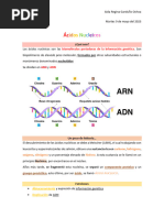 Ácidos Nucleicos