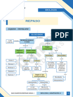 Biologia - Adap 4